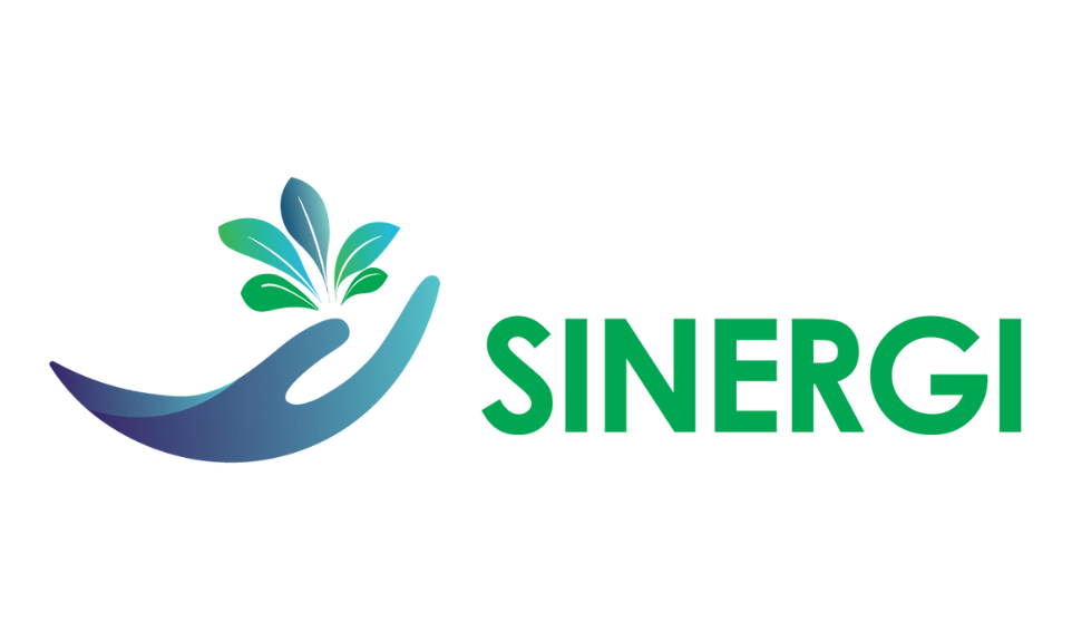 18-sinergi